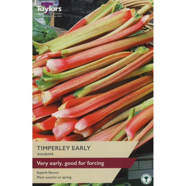 Rhubarb Timperley Early - Pack of 1